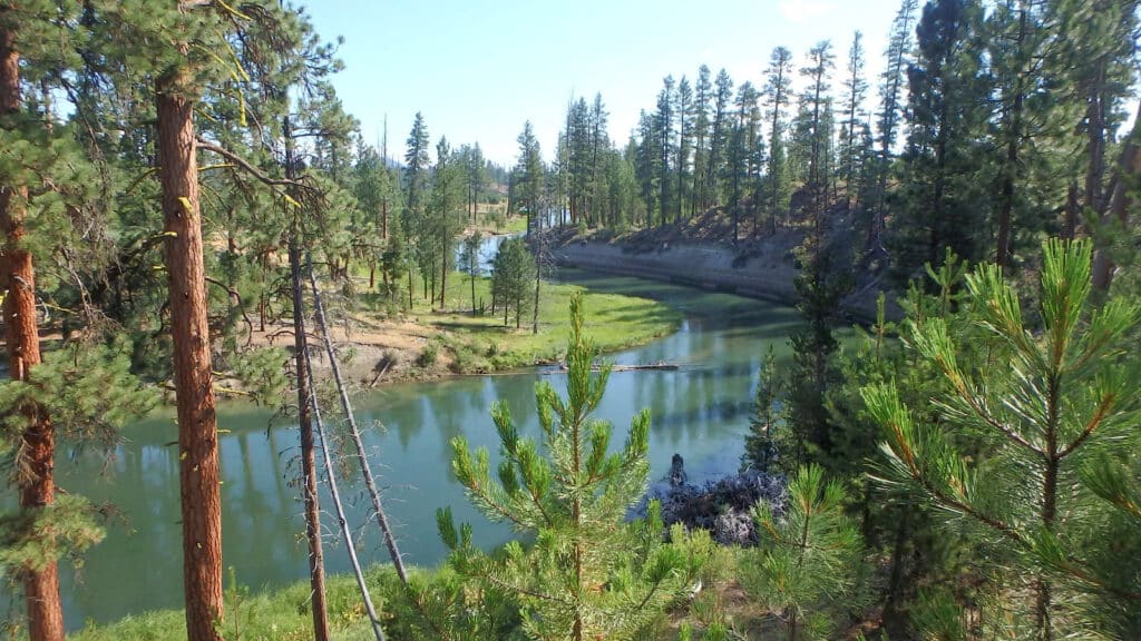 The Deschutes River meanders through a pine forest near Bend, Ore. This section of the river is less accessible than some other section but offers plenty of angling opportunities for residents and visitors alike.