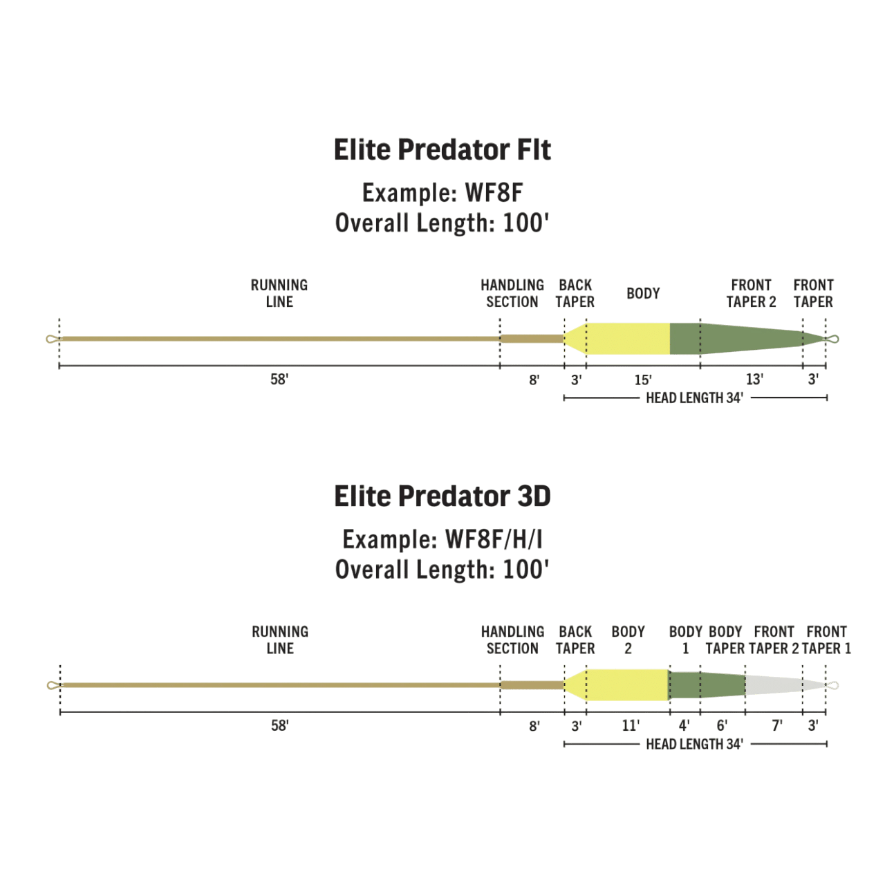 RIO Elite Predator - Image 3